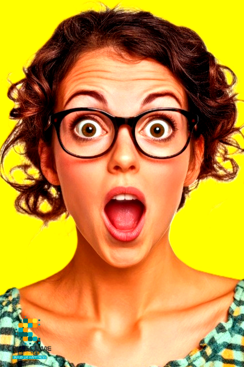 A happy border collie.